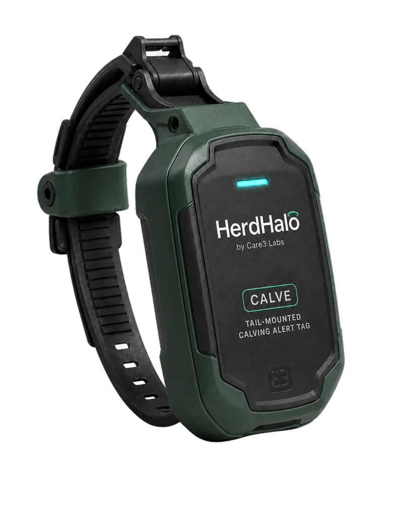 HerdHalo Calve tag